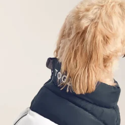 Fetch Padded Dog Coat L - Dark Indigo/Vanilla/Light Forest