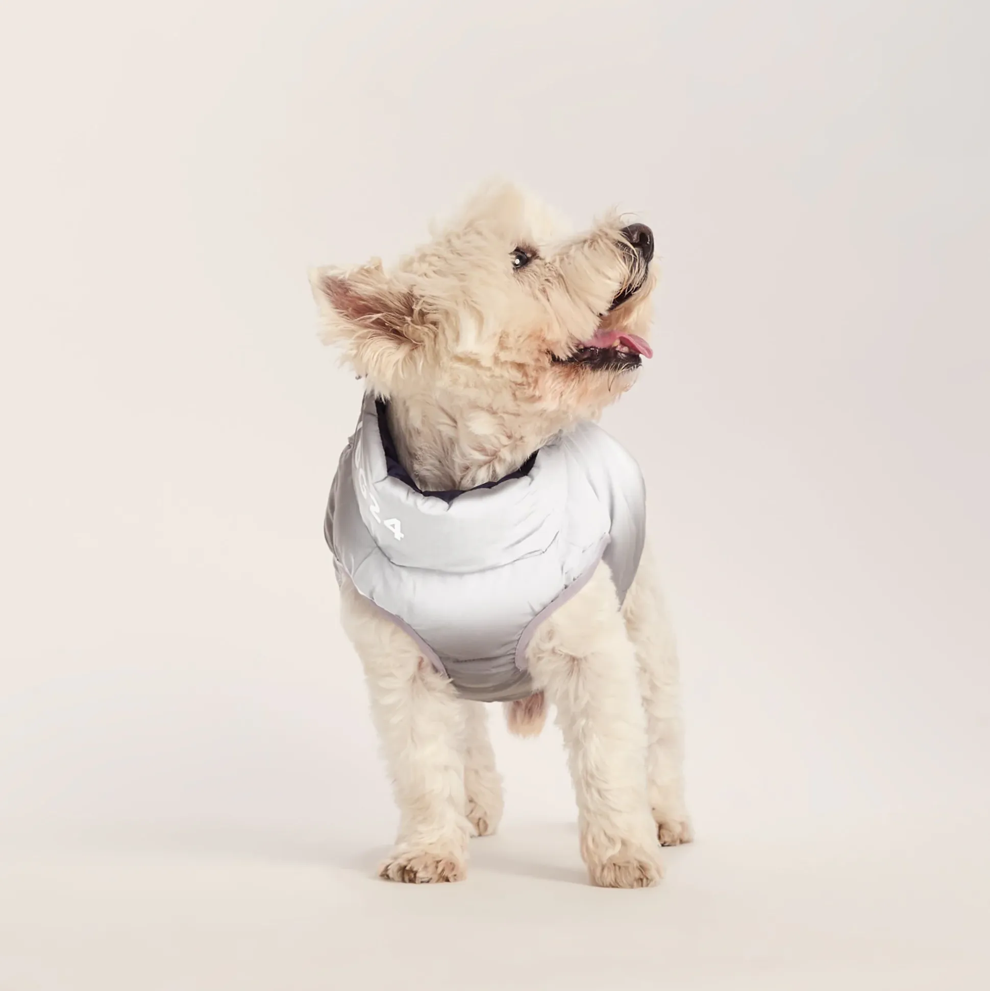 Fetch Padded Dog Coat S - Oxford Blue/Light Mist/Lavender Grey