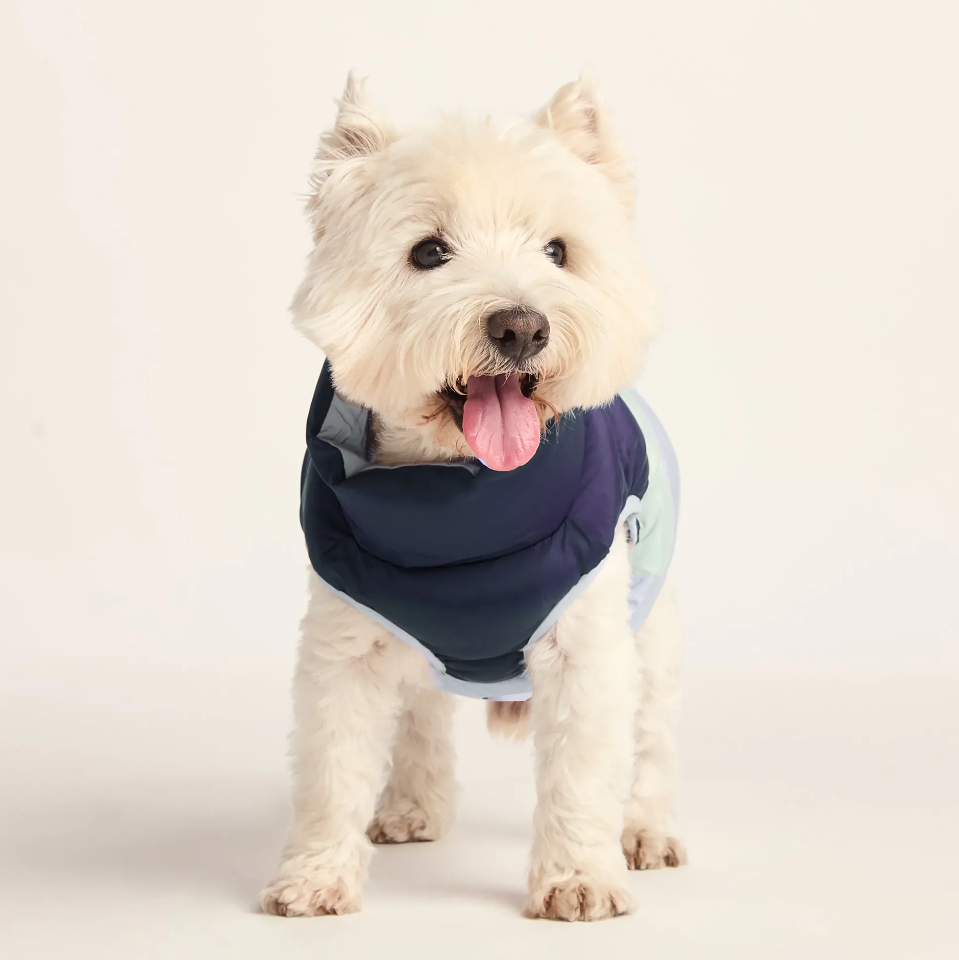 Fetch Padded Dog Coat S - Oxford Blue/Light Mist/Lavender Grey