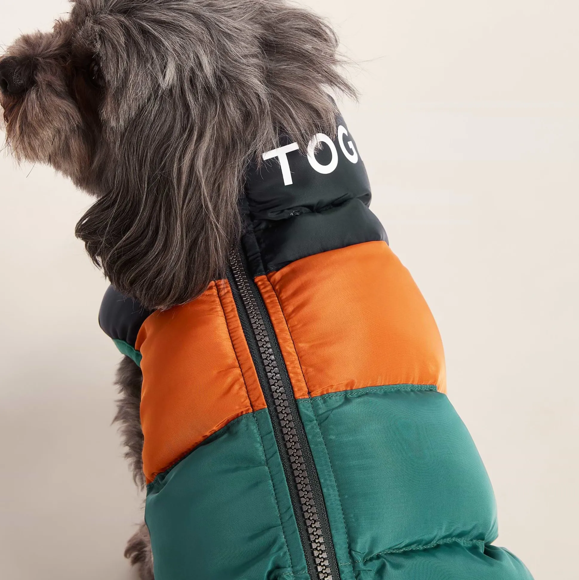 Fetch Padded Dog Coat XS - Dark Indigo/Mahogany Orange/Dark Turquoise