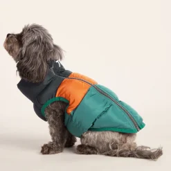 Fetch Padded Dog Coat XS - Dark Indigo/Mahogany Orange/Dark Turquoise