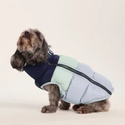 Fetch Padded Dog Coat XS - Oxford Blue/Light Mist/Lavender Grey