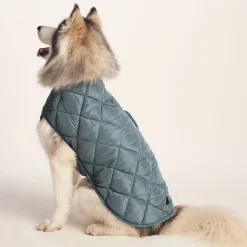Fido Padded Dog Coat L - Graphite