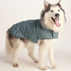 Fido Padded Dog Coat L - Graphite