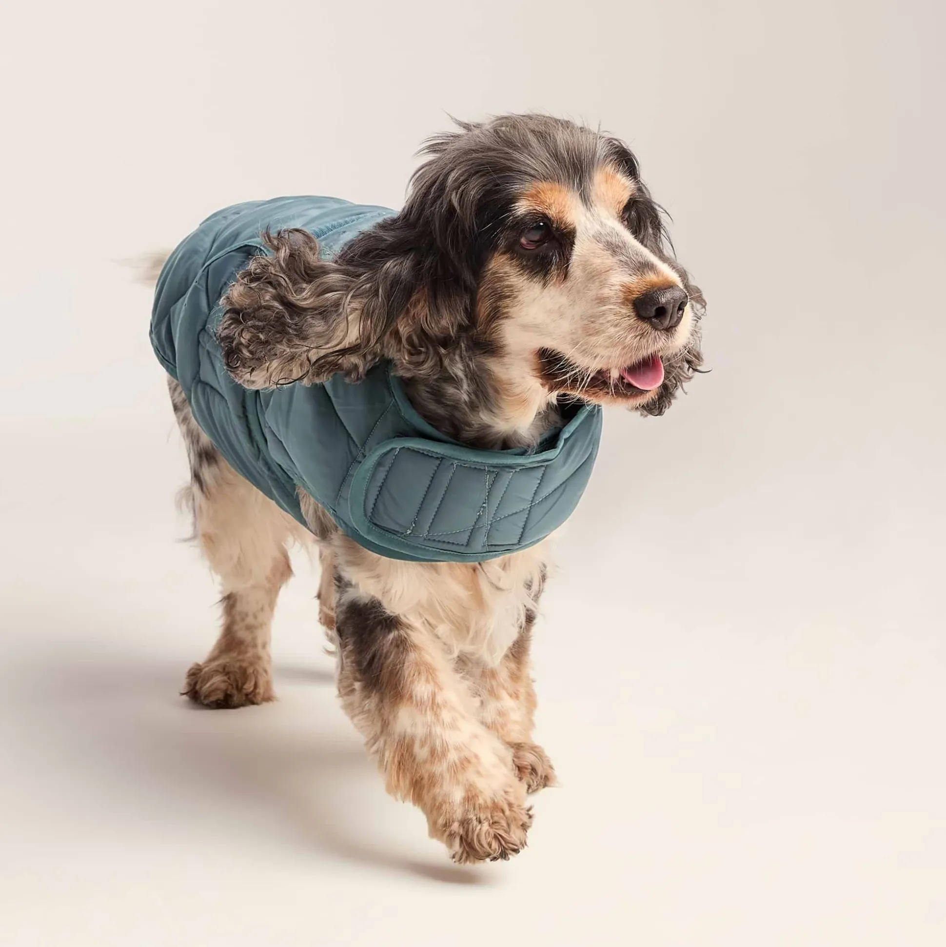 Fido Padded Dog Coat M - Graphite