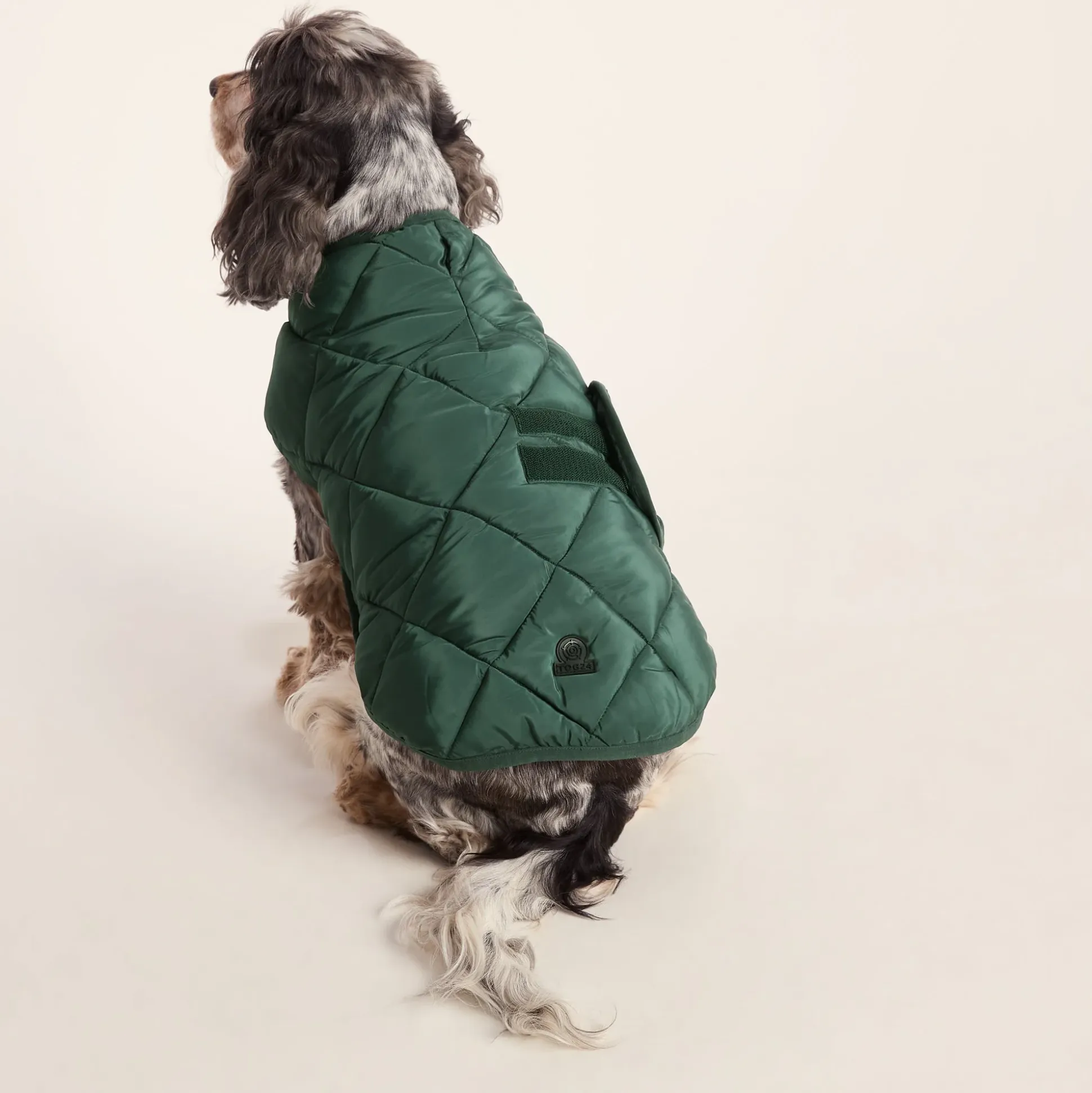 Fido Padded Dog Coat M - Racing Green
