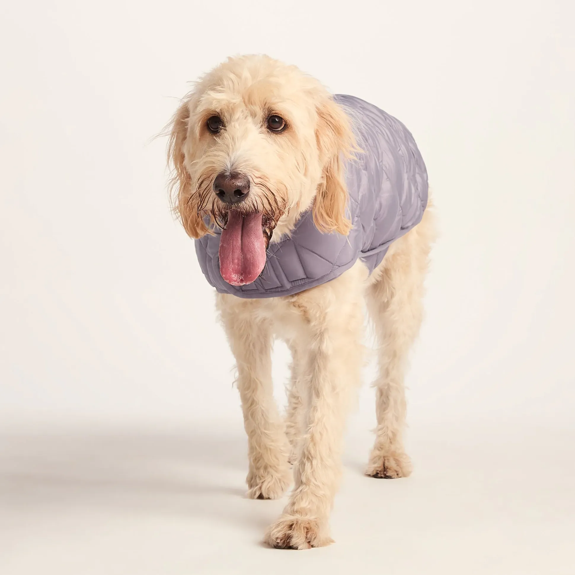 Fido Padded Dog Coat XL - Dusky Lilac