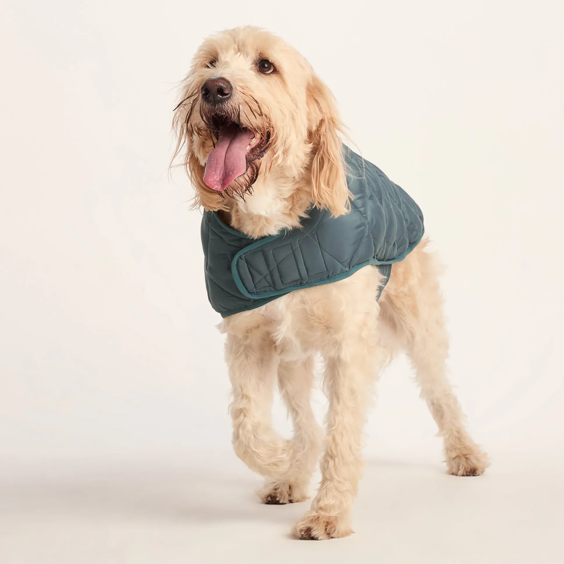 Fido Padded Dog Coat XL - Graphite
