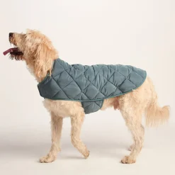 Fido Padded Dog Coat XL - Graphite