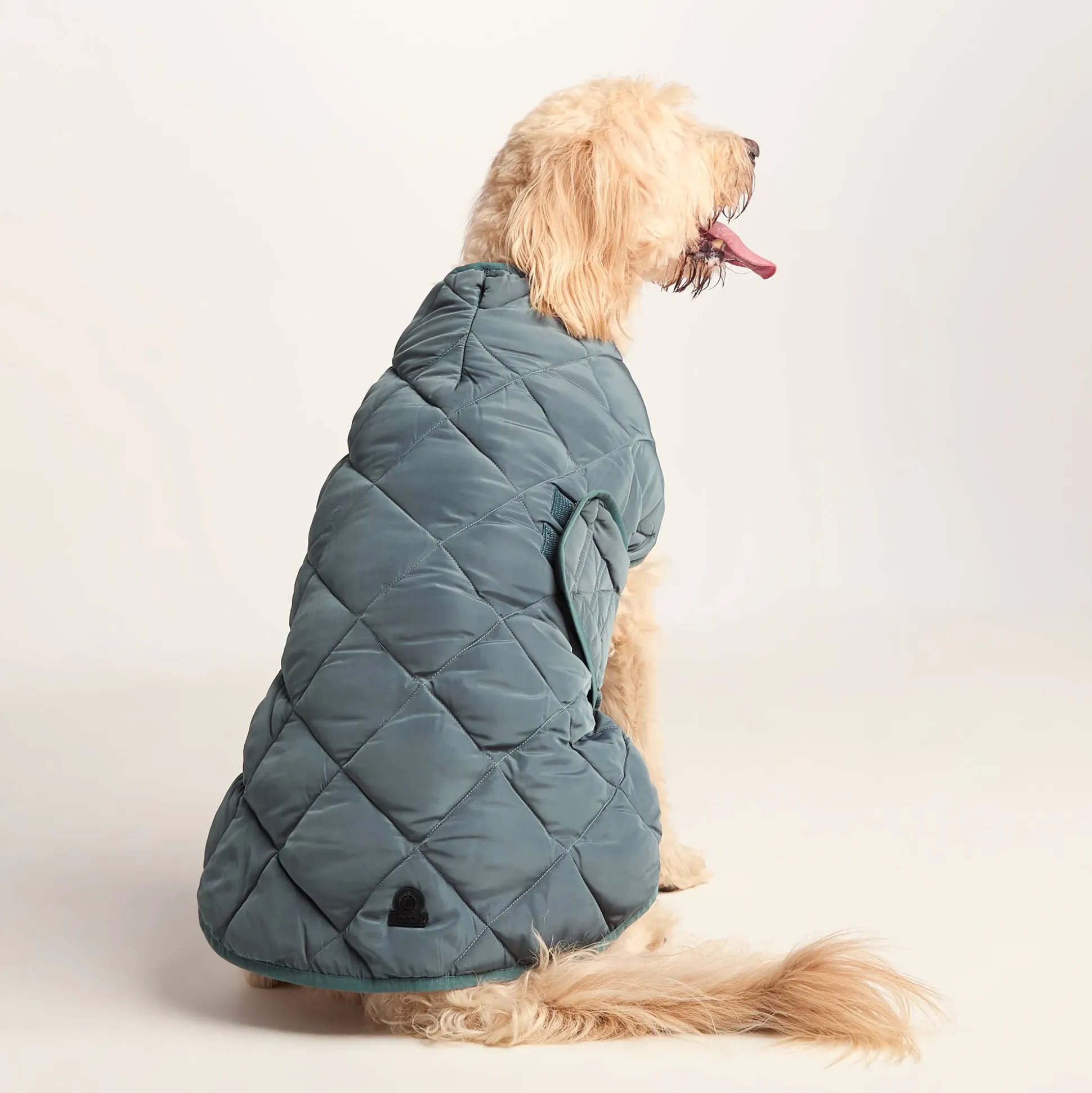 Fido Padded Dog Coat XL - Graphite