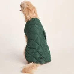 Fido Padded Dog Coat XL - Racing Green