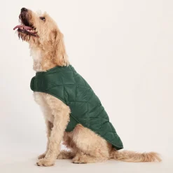 Fido Padded Dog Coat XL - Racing Green