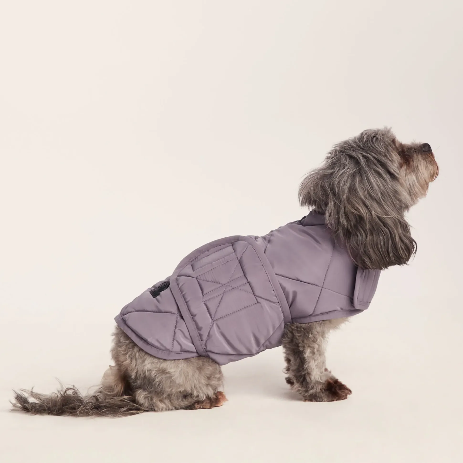Fido Padded Dog Coat XS - Dusky Lilac