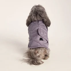 Fido Padded Dog Coat XS - Dusky Lilac