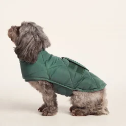 Fido Padded Dog Coat XS - Racing Green