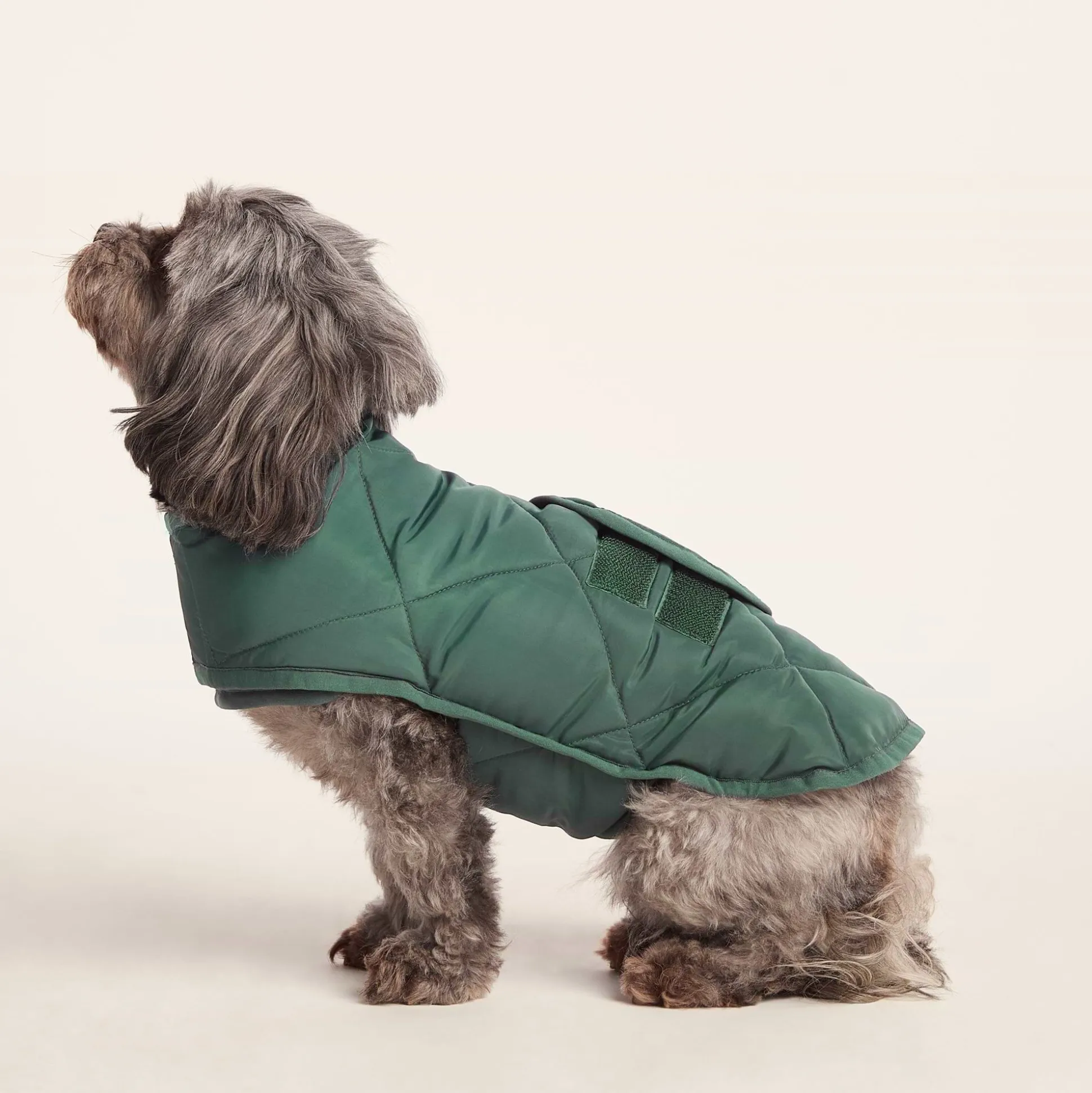 Fido Padded Dog Coat XS - Racing Green