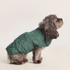 Fido Padded Dog Coat XS - Racing Green