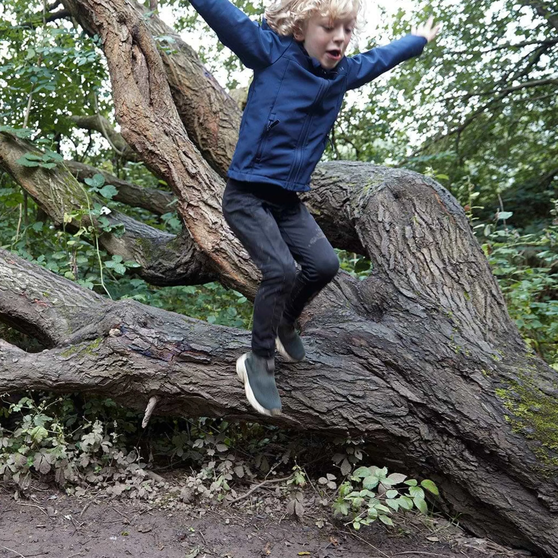 Koroma Kids Softshell Hooded Jacket - Navy