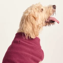 Rover Sherpa Dog Coat XL - Washed Burgundy